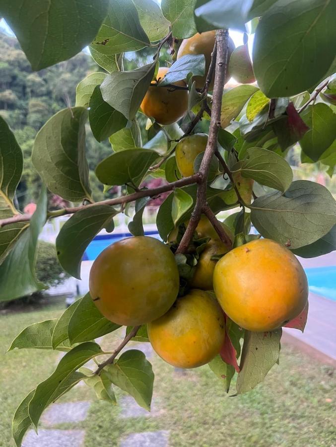 Jupter Inn Teresopolis